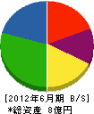 豊田組 貸借対照表 2012年6月期