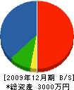 畳ヤマギシ本店 貸借対照表 2009年12月期