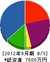 藤田電工 貸借対照表 2012年9月期