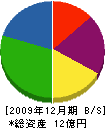 川井産業 貸借対照表 2009年12月期
