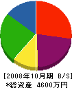 大島建築工匠 貸借対照表 2008年10月期