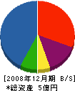 ダイケングローリー 貸借対照表 2008年12月期