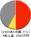 豊島塗装 損益計算書 2009年6月期