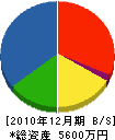 秋山建設 貸借対照表 2010年12月期