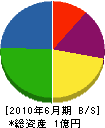 武田塗装工業 貸借対照表 2010年6月期