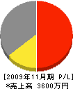 安田電機工業所 損益計算書 2009年11月期