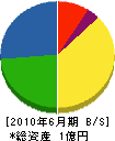 柳田商会 貸借対照表 2010年6月期