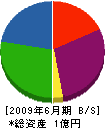 平津工務店 貸借対照表 2009年6月期