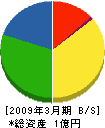 奥田塗装工業 貸借対照表 2009年3月期