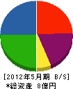 日本ソフト開発 貸借対照表 2012年5月期
