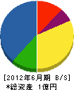 大晃重設 貸借対照表 2012年6月期