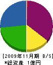 共栄企画建設 貸借対照表 2009年11月期