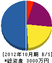 大塚建設 貸借対照表 2012年10月期