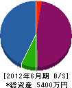 田崎建装 貸借対照表 2012年6月期
