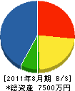 東洋興産 貸借対照表 2011年8月期