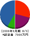 藤井建設 貸借対照表 2008年9月期