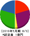 伸倉安全 貸借対照表 2010年5月期