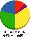 田中電気工務店 貸借対照表 2010年7月期