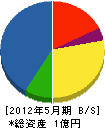 松山開成 貸借対照表 2012年5月期