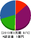 竹村栄建 貸借対照表 2013年3月期