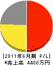 丸喜玉田工業 損益計算書 2011年6月期