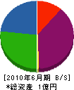 津田建設工業 貸借対照表 2010年6月期