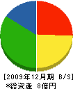 松本鉄工所 貸借対照表 2009年12月期