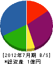 井波建材 貸借対照表 2012年7月期