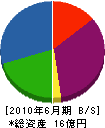 奥村商会 貸借対照表 2010年6月期