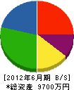 山川組 貸借対照表 2012年6月期