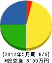 川田電気商会 貸借対照表 2012年5月期