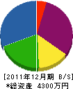 田之上電気 貸借対照表 2011年12月期