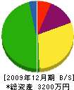 アーキプロダクツ石井 貸借対照表 2009年12月期