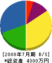 泉川総業 貸借対照表 2008年7月期