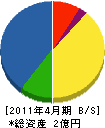 小玉 貸借対照表 2011年4月期