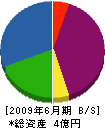 カネタ商会 貸借対照表 2009年6月期