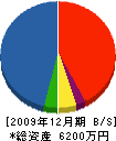 正澤建設 貸借対照表 2009年12月期