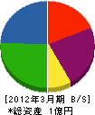 塚本興業 貸借対照表 2012年3月期