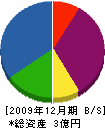 泰清資材 貸借対照表 2009年12月期