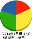 タニヤマ技研 貸借対照表 2012年9月期