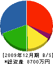 三輝建設 貸借対照表 2009年12月期