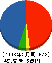冨山建材 貸借対照表 2008年5月期