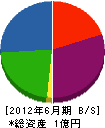 田代産業 貸借対照表 2012年6月期