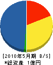 飛田組 貸借対照表 2010年5月期