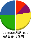 遠野新高電気 貸借対照表 2010年9月期