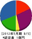 神尾工業 貸借対照表 2012年5月期