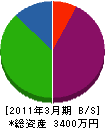 カゴシマ 貸借対照表 2011年3月期