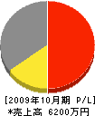 京葉塗装 損益計算書 2009年10月期