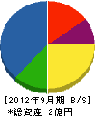 奥村電気商会 貸借対照表 2012年9月期