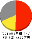 藤田電機工業 損益計算書 2011年6月期